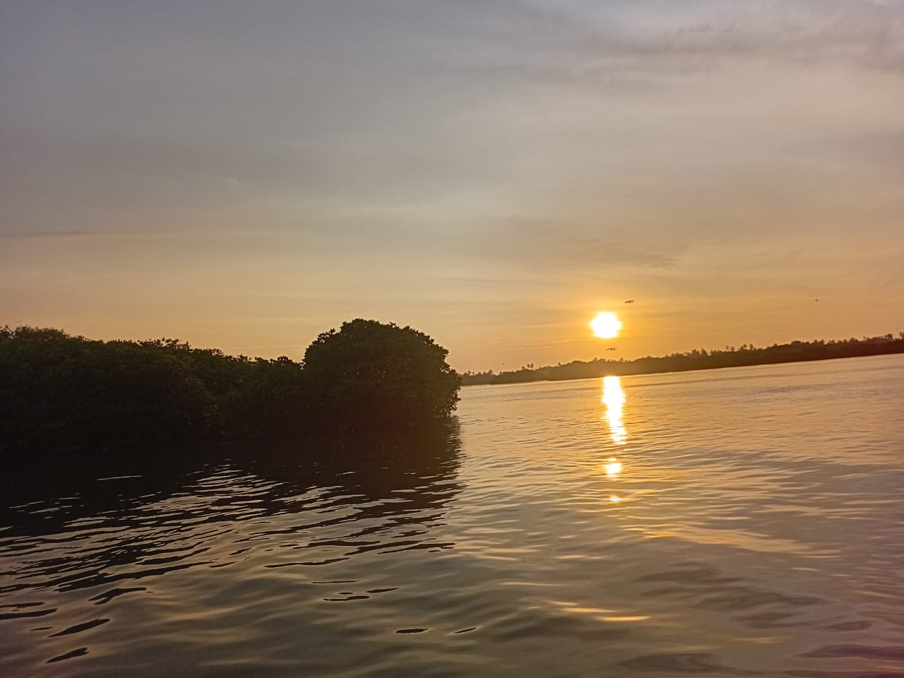 Lagoon Boat Trip