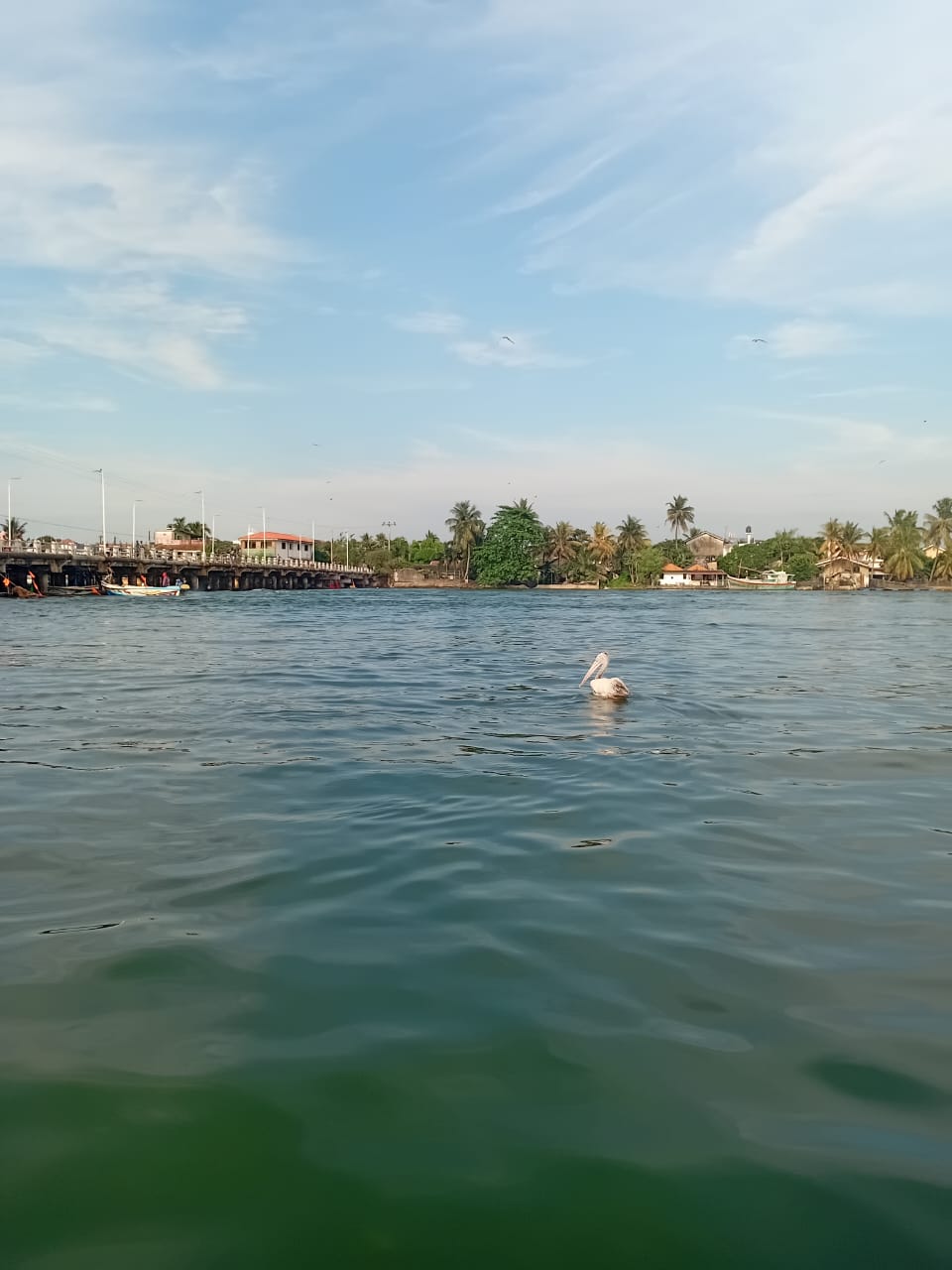 Lagoon Boat Trip