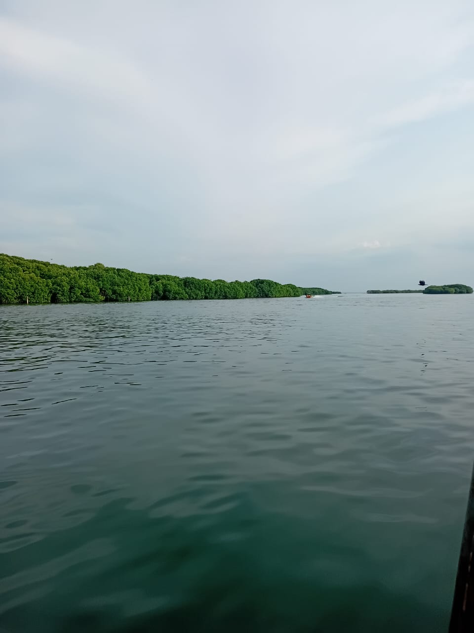 Lagoon Boat Trip