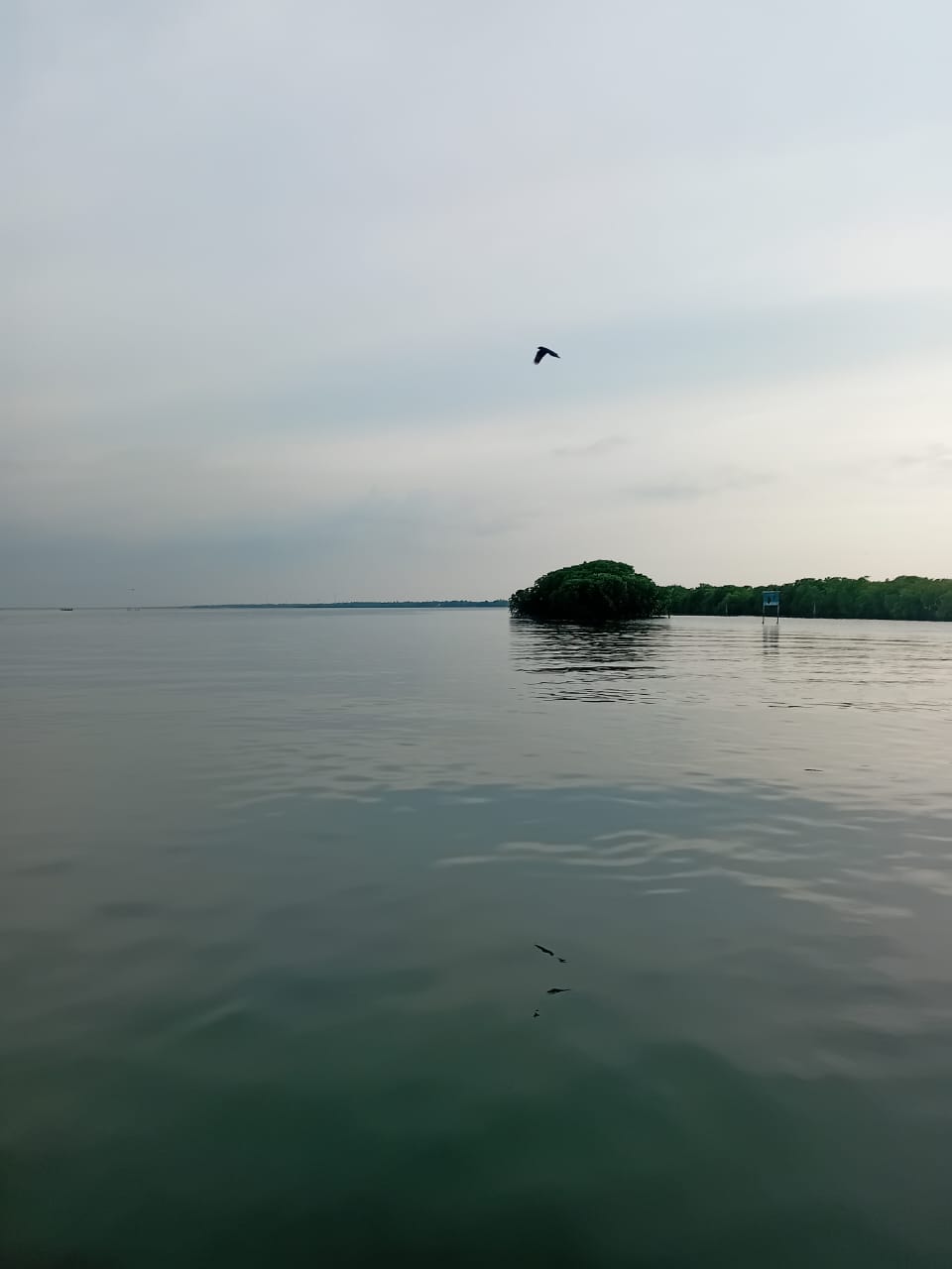 Lagoon Boat Trip