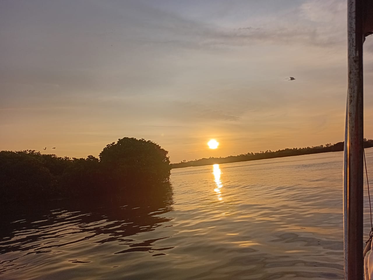 Lagoon Boat Trip