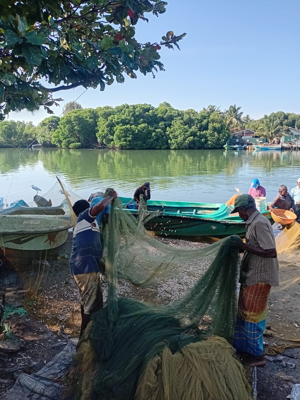 Lagoon Boat Trip