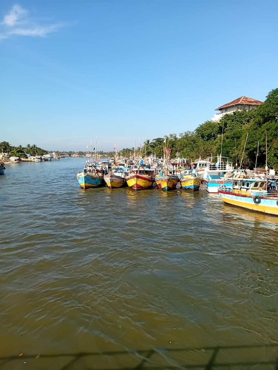 Lagoon Boat Trip