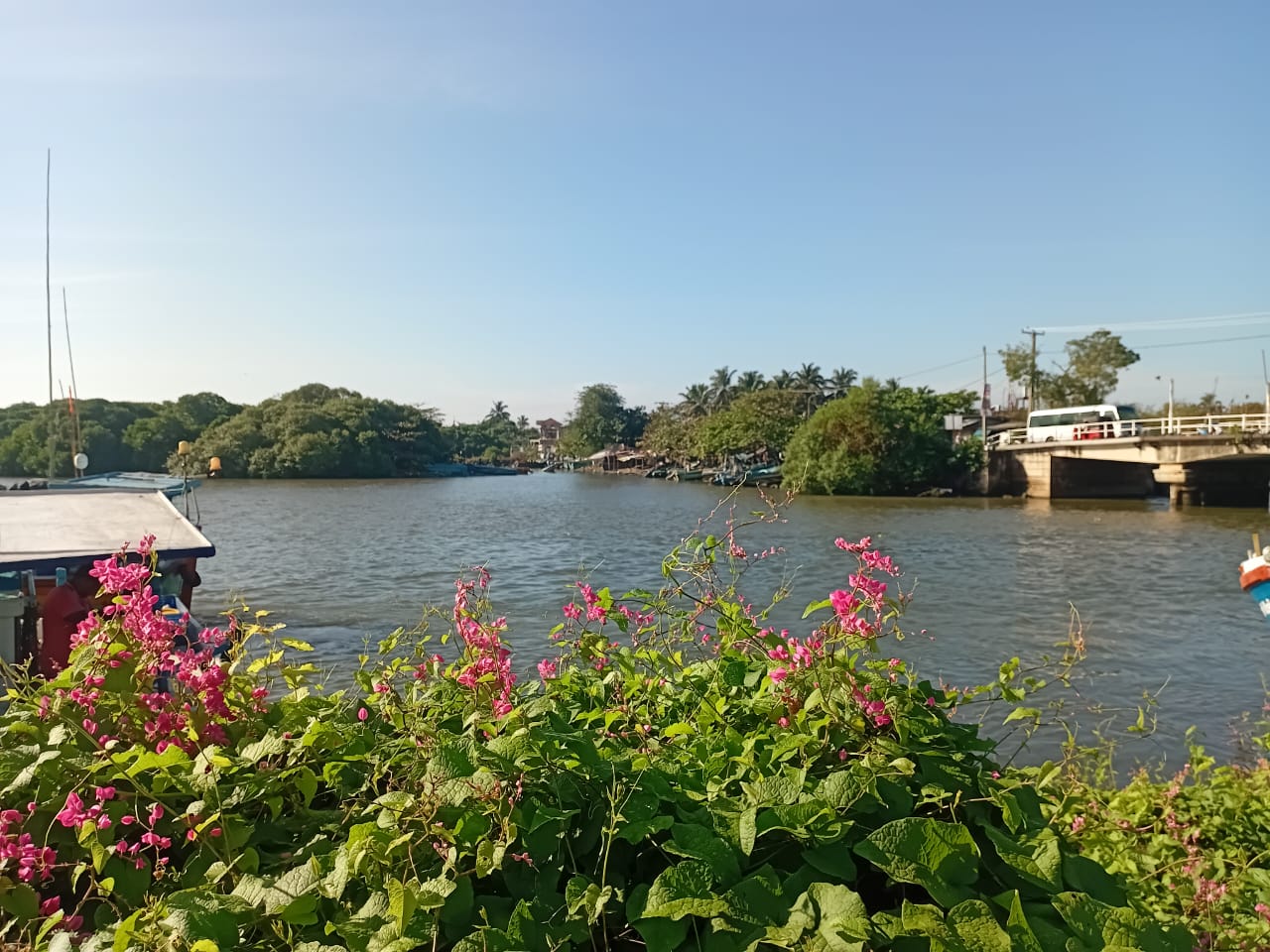 Lagoon Boat Trip