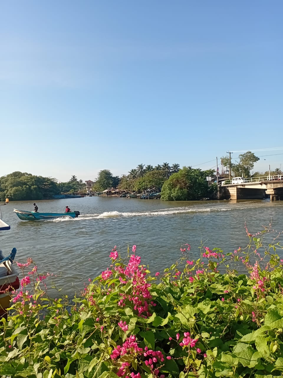Lagoon Boat Trip