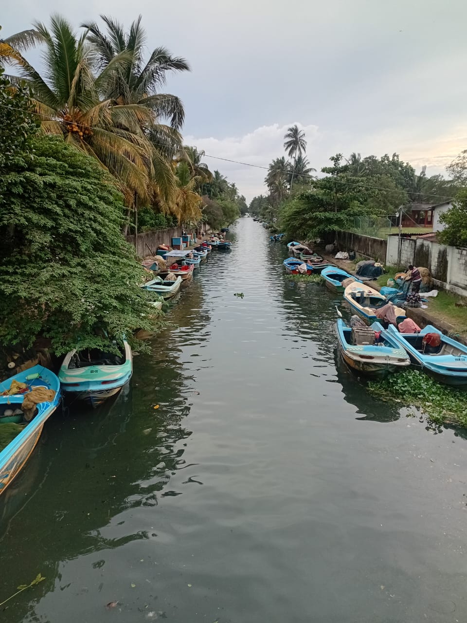 Lagoon Boat Trip