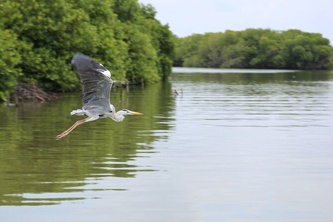 Lagoon Boat Trip