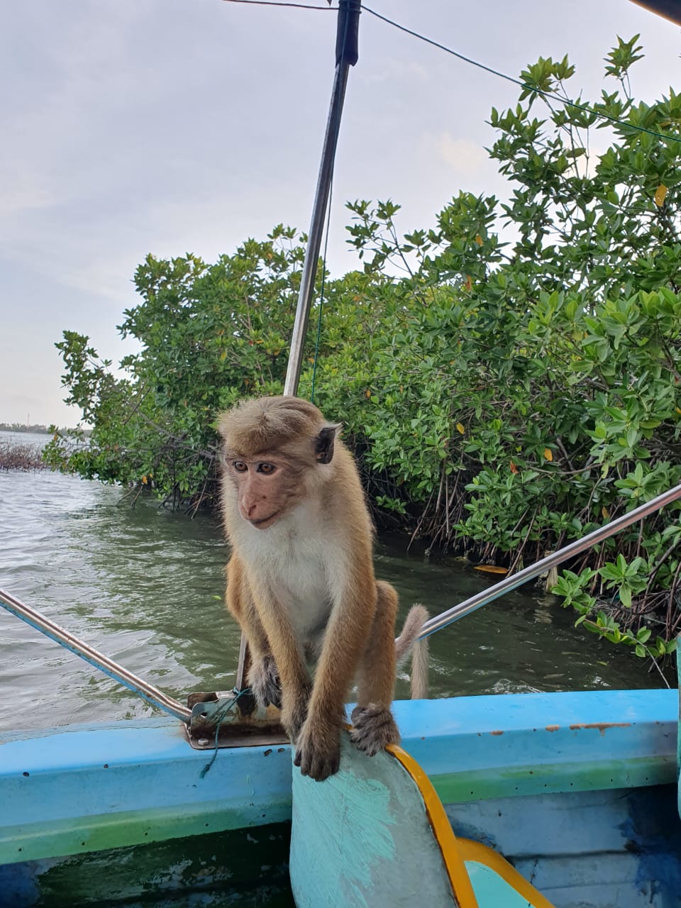Lagoon Boat Trip