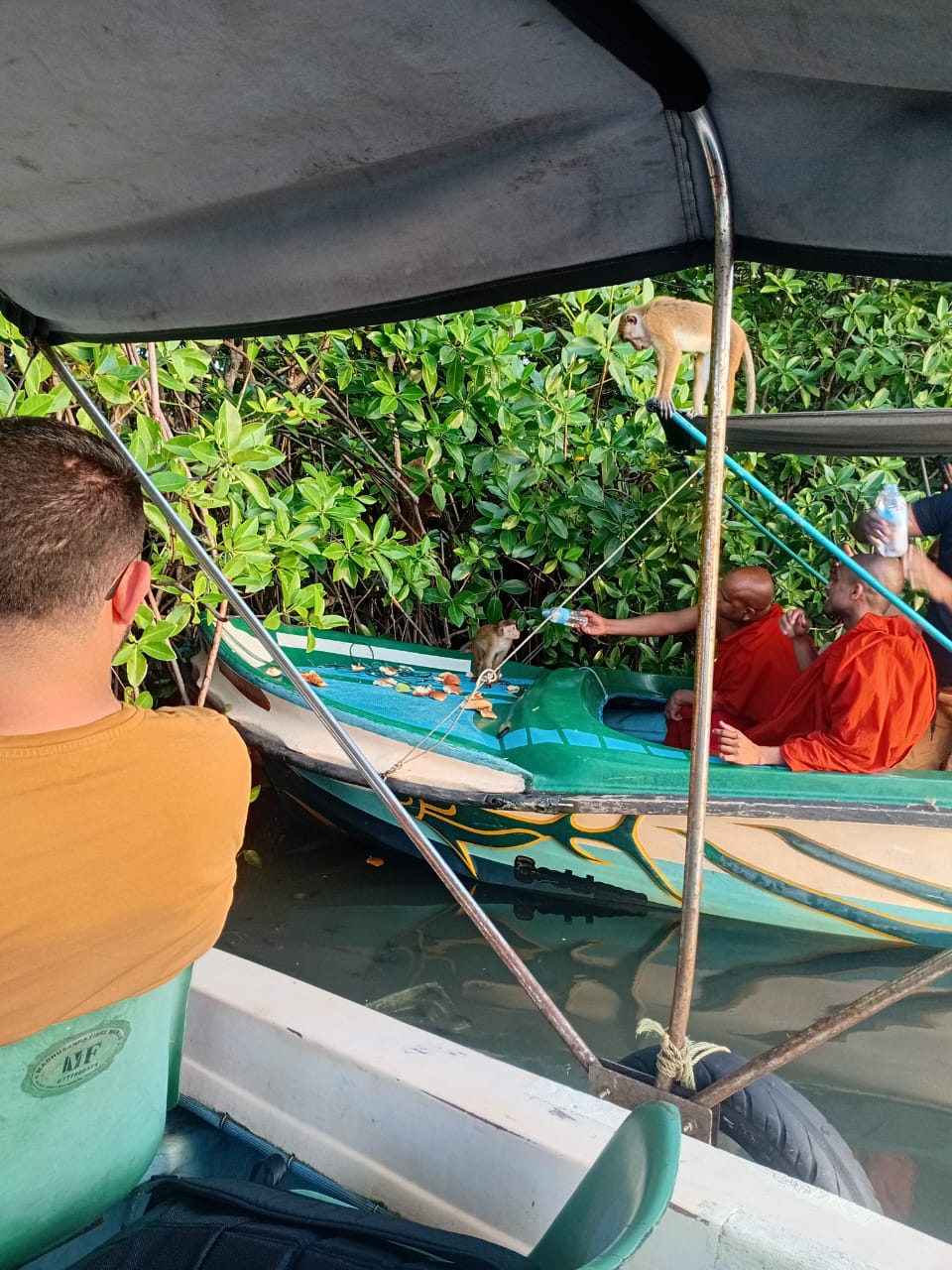 Lagoon Boat Trip
