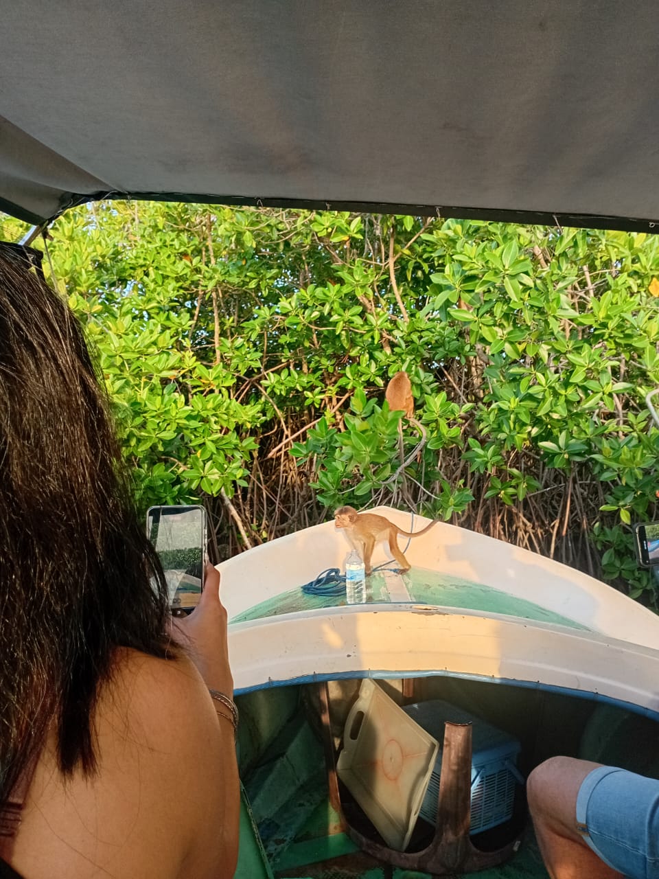 Lagoon Boat Trip