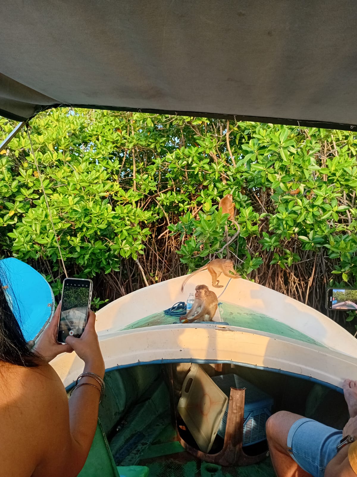 Lagoon Boat Trip
