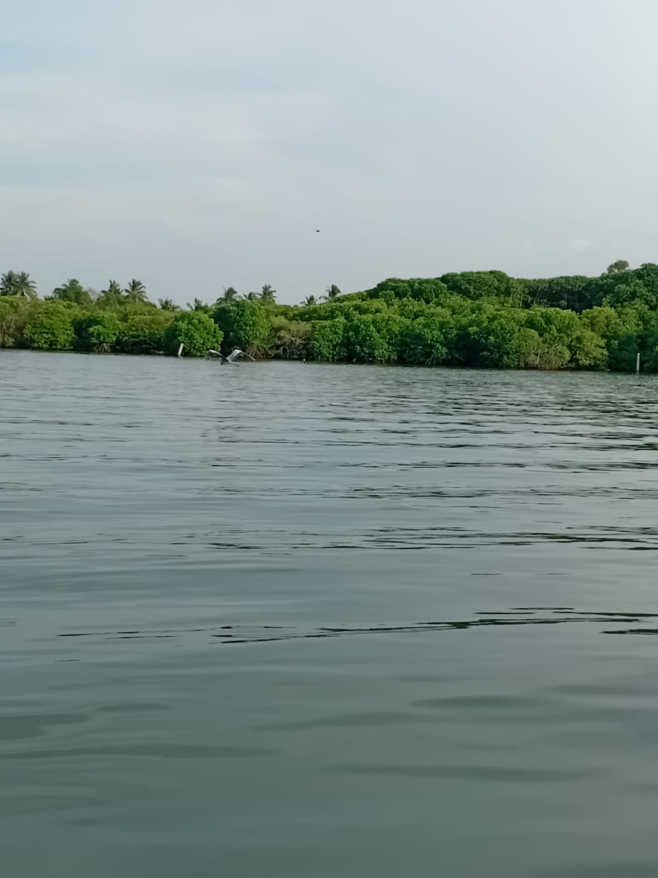 Lagoon Boat Trip